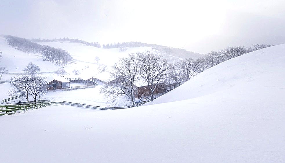 Snow-covered hills and quiet farm buildings in Daegwallyeong, capturing the calm winter landscape of Korea’s highlands