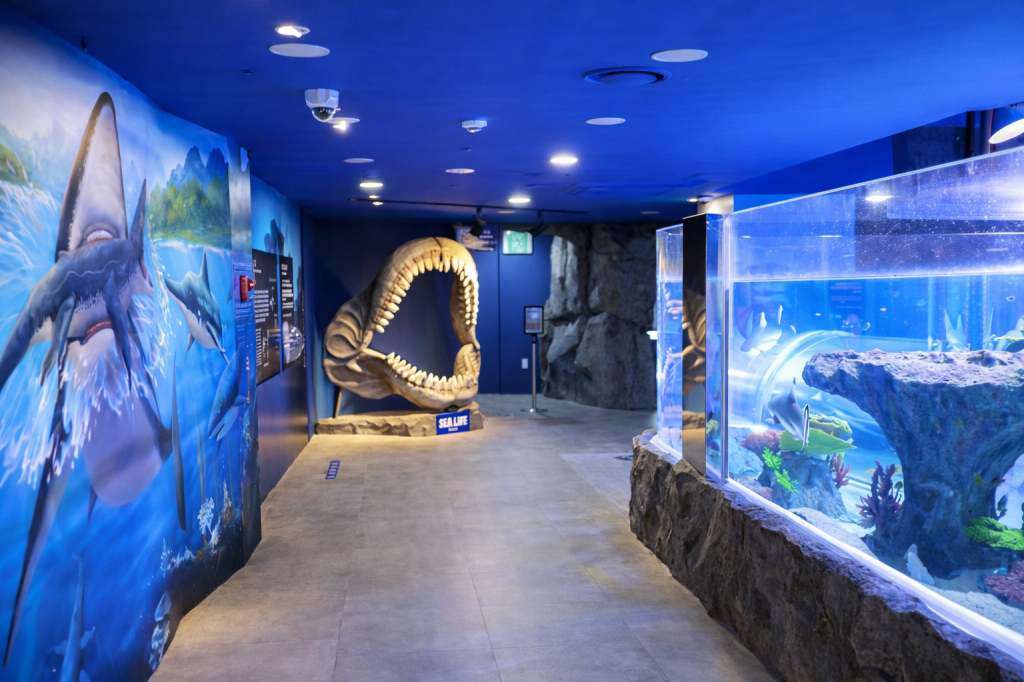 Interior walkway of BUSAN SEA LIFE Aquarium featuring shark-themed exhibits, a giant shark jaw display, and illuminated blue aquarium tanks