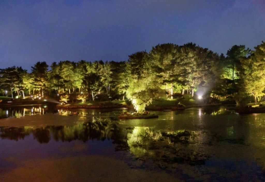Night view of Donggung and Wolji pond in Gyeongju, with softly lit trees reflected on calm water during an evening family walk