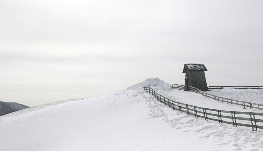 Snow-covered hills and walking paths at Daegwallyeong Sheep Farm in winter, Pyeongchang, Gangwon-do, South Korea