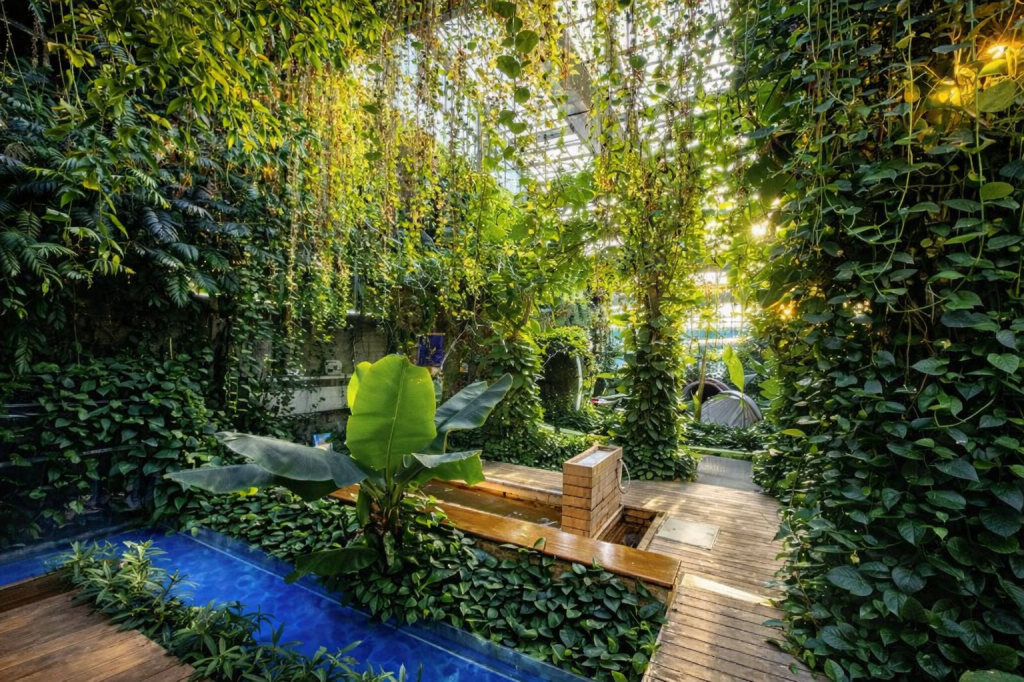 Forest-style healing jjimjilbang near Seoul with lush greenery, indoor garden, and natural relaxation space at Mirinae Healing Club in Yangpyeong