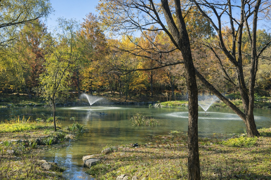 Autumn scenery at Seoul Children’s Grand Park, with a calm pond, fountains, and fall trees.