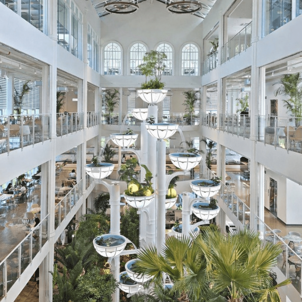 Large aesthetic cafe near Seoul with indoor garden and multi-level seating