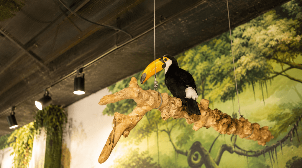 Jureong Jureong indoor zoo in Gyeongju with tropical birds and family-friendly animal experiences