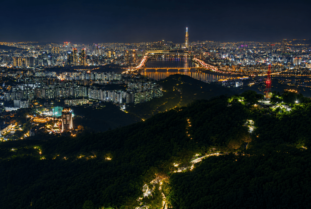 Seoul night skyline view from N Seoul Tower